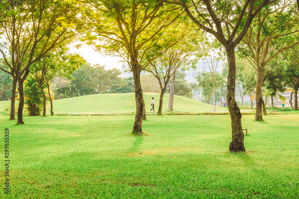 Beautiful pure sunrise morning in public park with green grass, tree and flower. Half moon park in Ho Chi Minh city, Vietnam. Beautiful pure sunrise morning in public park with green grass, tree and flower. Half moon park in Ho Chi Minh city, Vietnam.