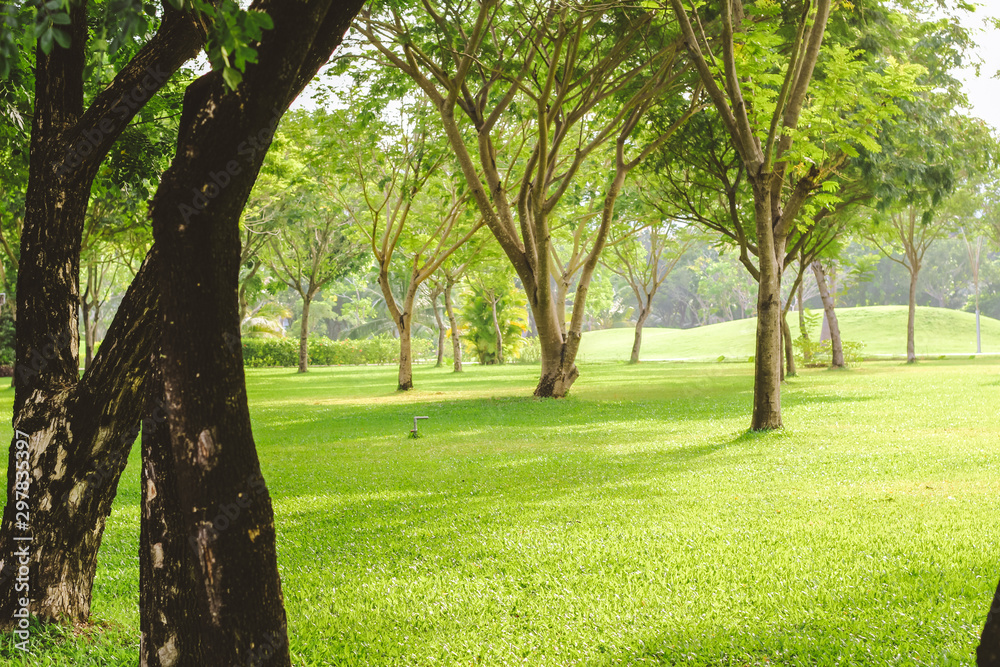 Beautiful pure sunrise morning in public park with green grass, tree and flower. Half moon park in Ho Chi Minh city, Vietnam. Beautiful pure sunrise morning in public park with green grass, tree and flower. Half moon park in Ho Chi Minh city, Vietnam.