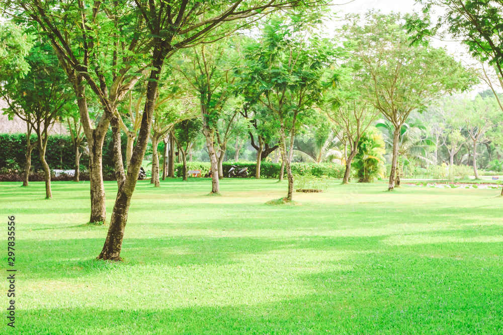 Beautiful pure sunrise morning in public park with green grass, tree and flower. Half moon park in Ho Chi Minh city, Vietnam.