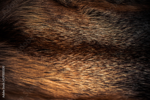 Fotografie luxury fox fur fabric texture with multicolor reflections over surface