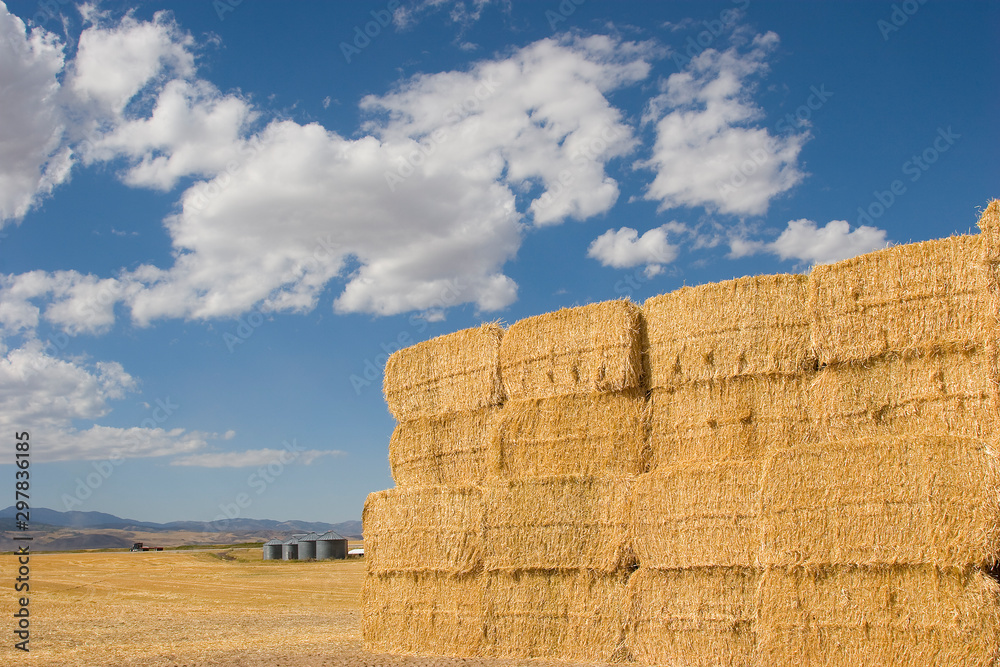 Bales of hay, Idaho ranchland