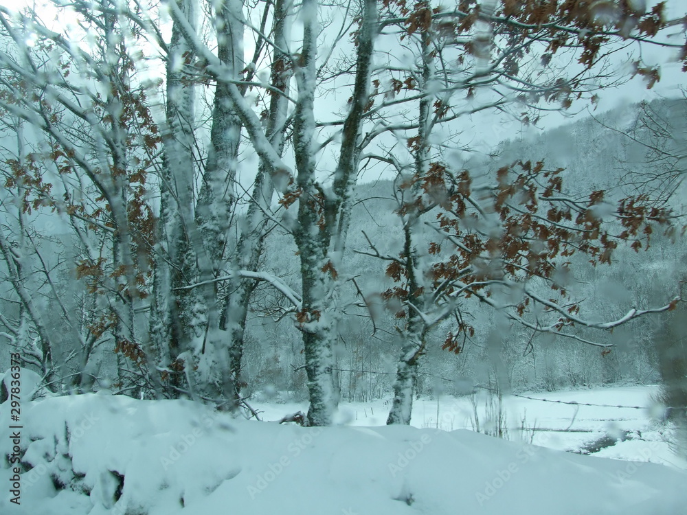 Fototapeta premium Nevada enero4