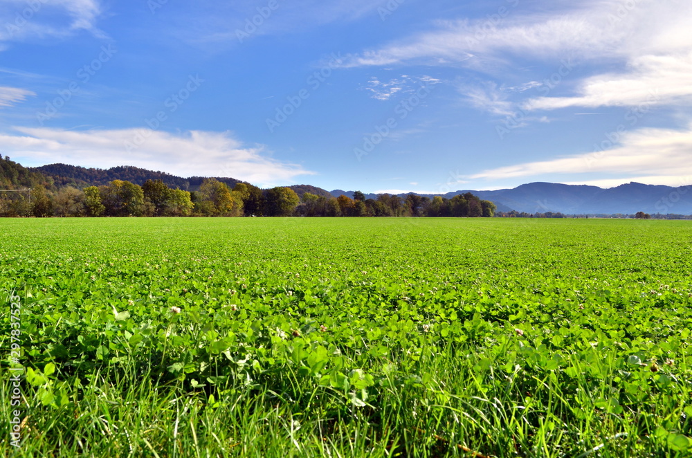 Grüne Felder im Dreisamtal Grüne Felder im Dreisamtal
