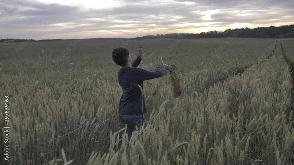 happy boy runs through a wheat field and rejoices at sunset happy boy runs through a wheat field and rejoices at sunset