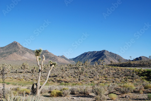 Desert mountains