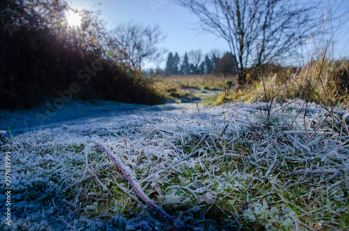 Frost on ground