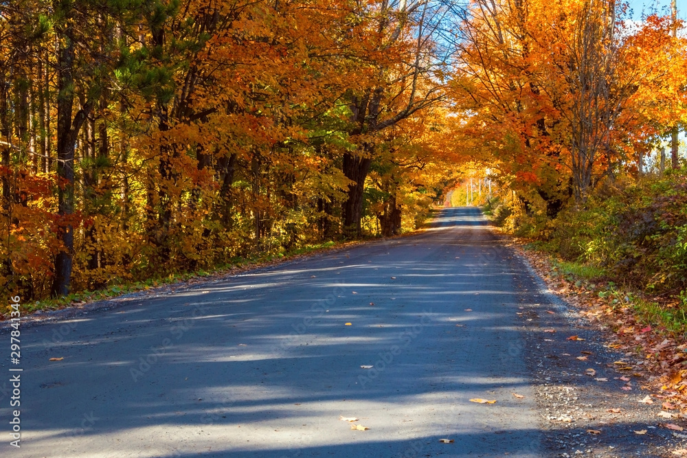 Obraz premium back road in autumn