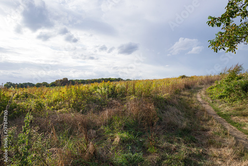 Konstfotografi Landscape fields meadow near Auvers-sur-Oise village, France