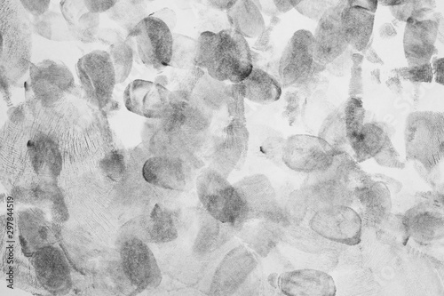 Fingerprints.Background with fingerprints.Black fingerprint on white background. photo