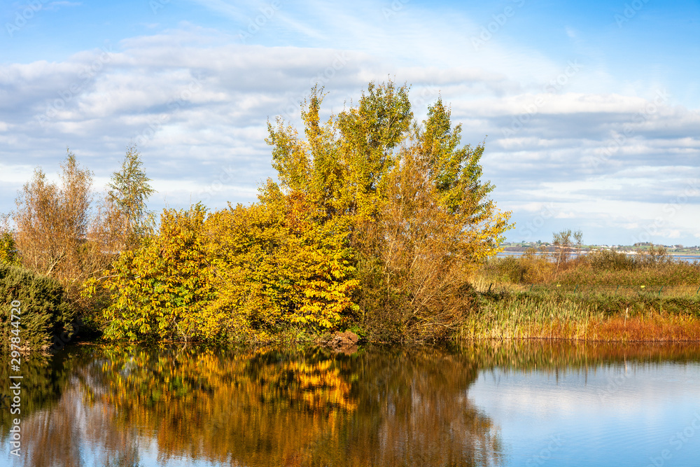 Trees in Autumn colours reflected in a lake