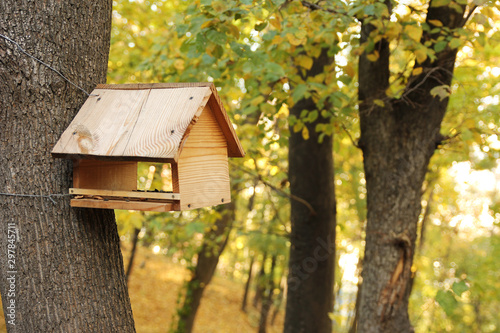 The birdhouse on the tree in autumn park Fototapet