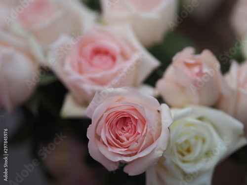 Rose pink flower beauty bouquet