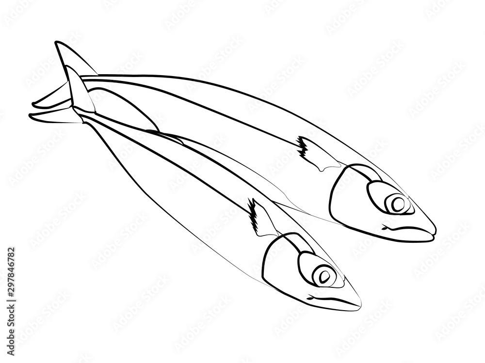 fish contour vector illustration isolated fish contour vector illustration isolated