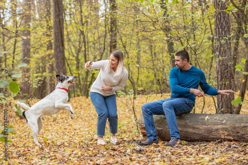 care, animals, family, season and people concept - smiling couple with dog in autumn park © Volodymyr Shcerbak