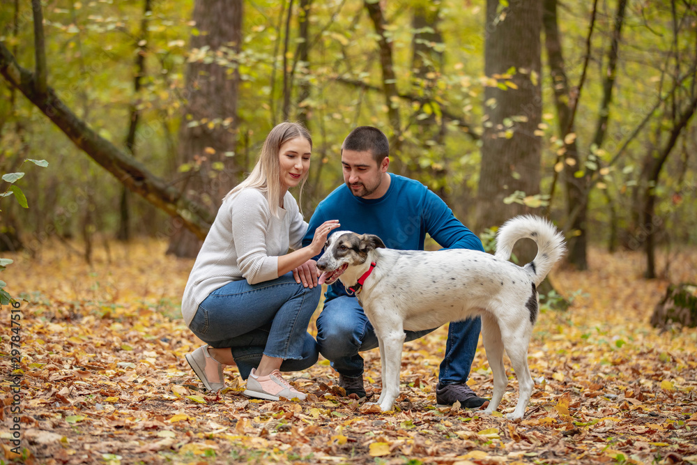 care, animals, family, season and people concept - smiling couple with dog in autumn park care, animals, family, season and people concept - smiling couple with dog in autumn park