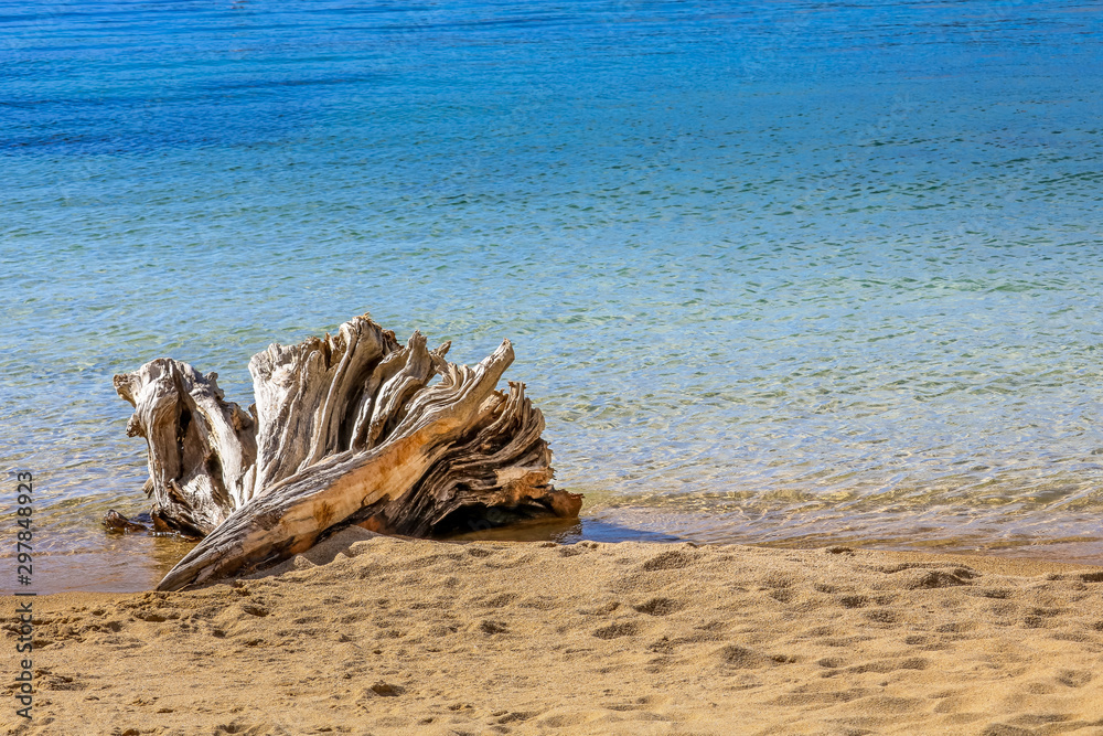 Tree stump on the beach of Sand Harbor, Lake Tahoe. Tree stump on the beach of Sand Harbor, Lake Tahoe.