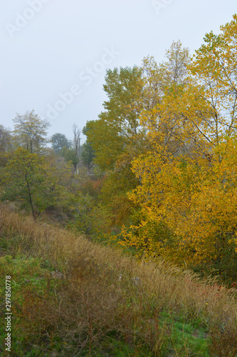 Beautiful landscape, autumnal nature with white dense fog over Career Lake, Dnipro city, Ukraine. Tall trees and large shrubs with yellow leaves around a clean and beautiful lake.