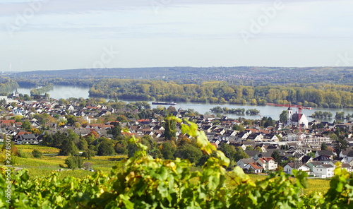 Ein hübscher Blick vom Schloss Johannisberg auf den Rheingau am Rhein in Hessen Deutschland