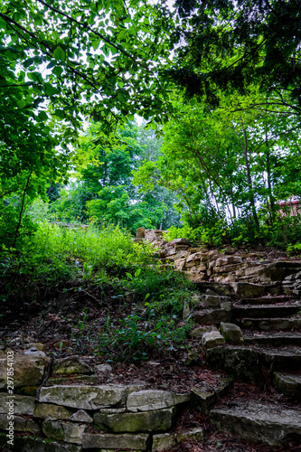 stair path in the forest