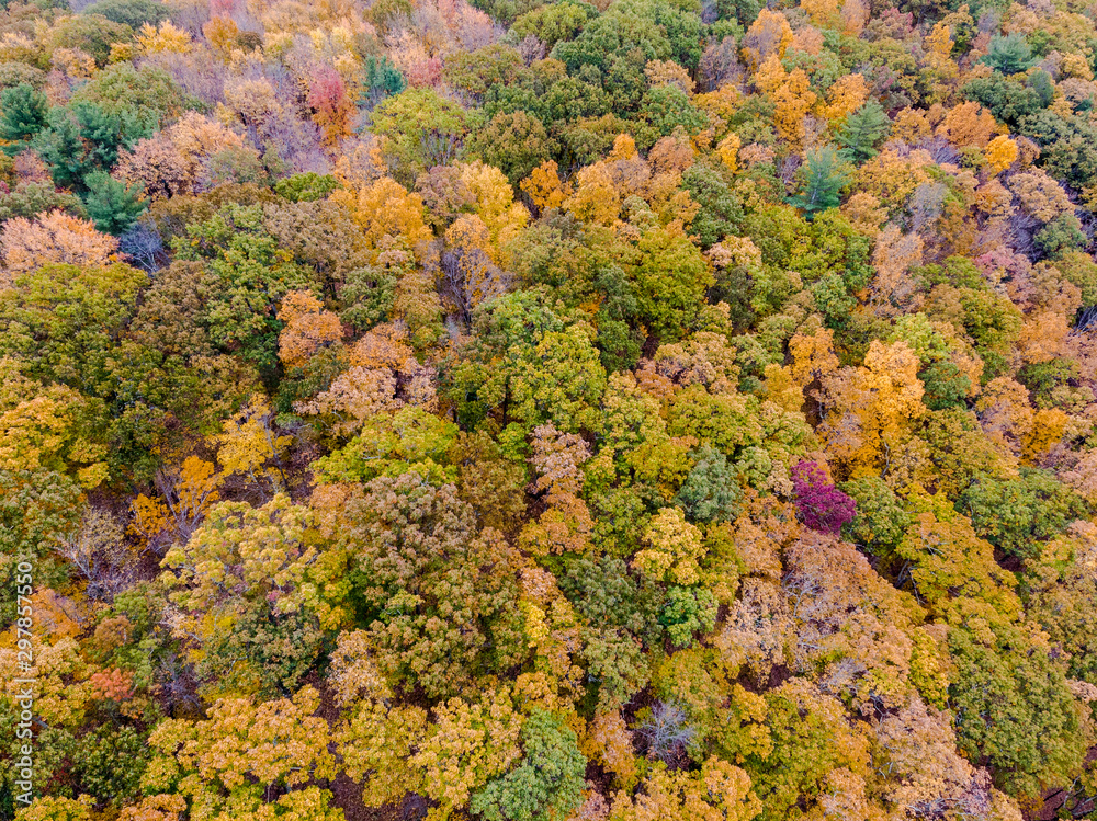 Drone photo of peak foliage upstate New York during the autumn fall season. Drone photo of peak foliage upstate New York during the autumn fall season.