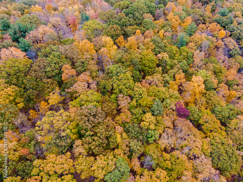 Drone photo of peak foliage upstate New York during the autumn fall season. © Michael