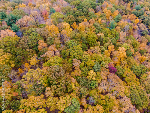 Drone photo of peak foliage upstate New York during the autumn fall season.