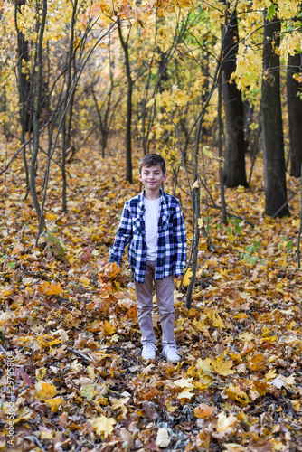 handsome boy collects leaves in forest, autumn background and place for your text. copy space
