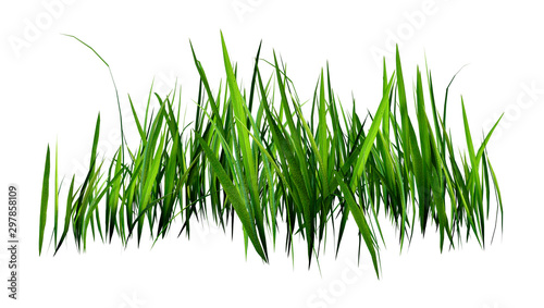 3D Rendering Patch of Grass