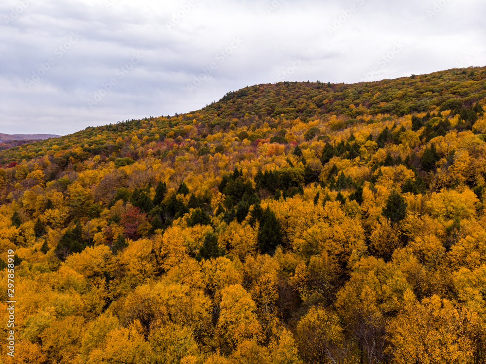 Drone photo of peak foliage upstate New York during the autumn fall season.