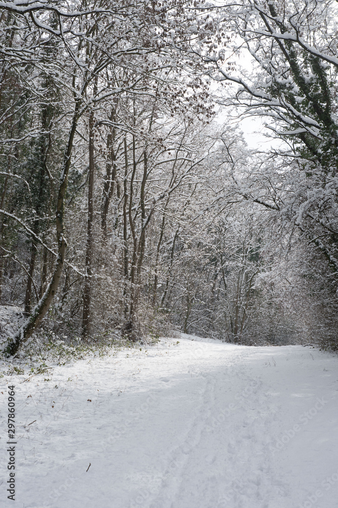 Obraz premium chemins d'hivers