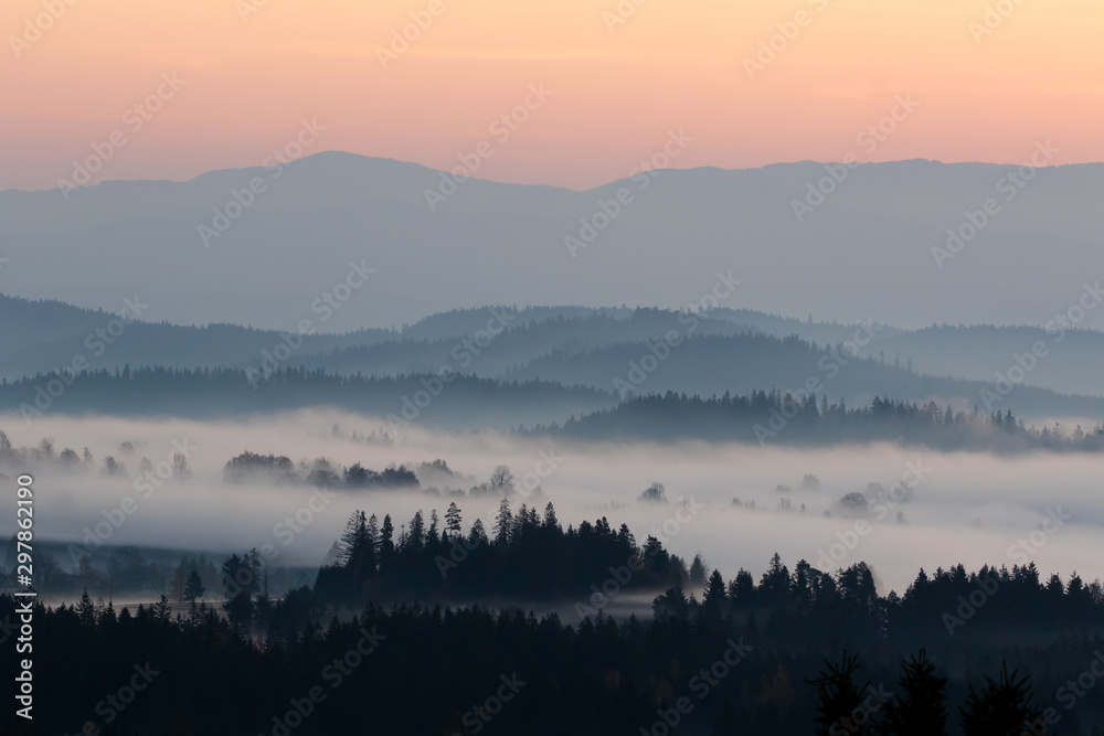 Fototapeta Las i góry we mgle