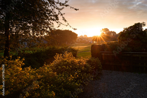 Obraz na plátně Sunrise over a garden in a rural housing estate in England.