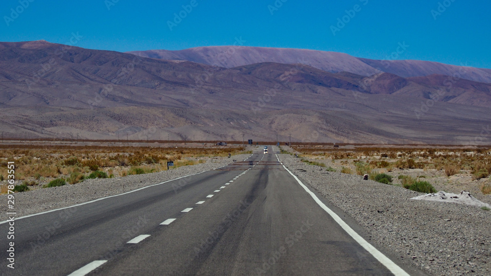 Log Desert road to mountains