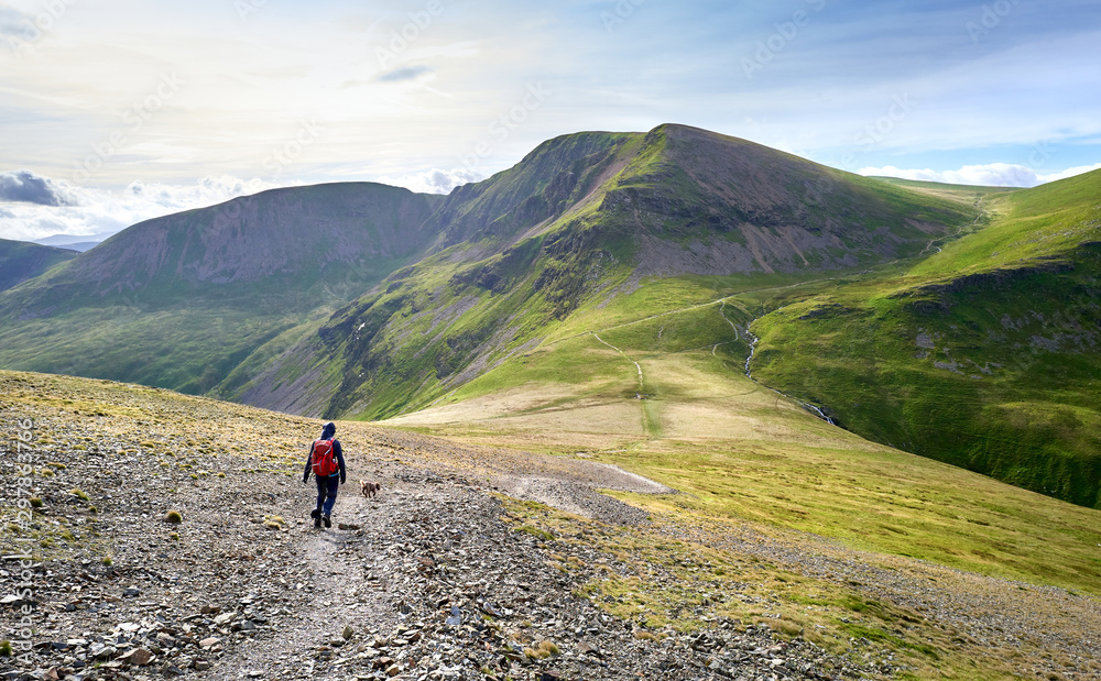 Fototapeta premium A hiker and their dog walking along a rugged path on a sunny day towards the summits of Crag Hill, Grasmoor and Sail in the Lake District, England, UK.