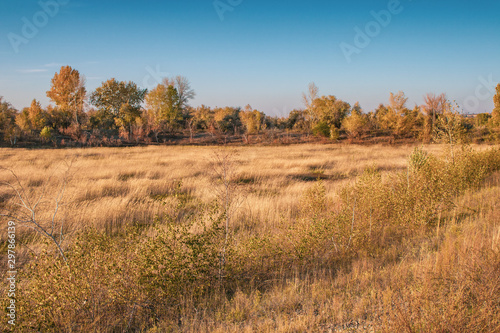 evening by autumn in steppe