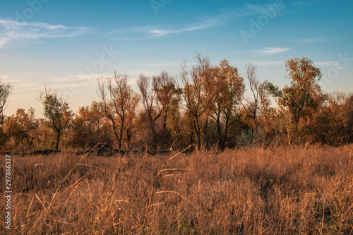 evening by autumn in steppe