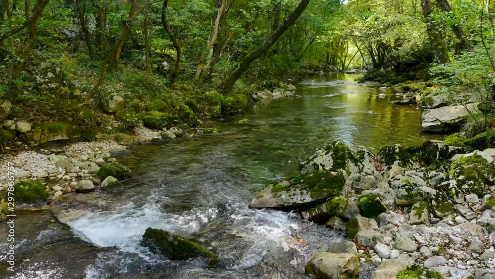 river flowing over rocks through the forest slow camera dolly shot river flowing over rocks through the forest slow camera dolly shot