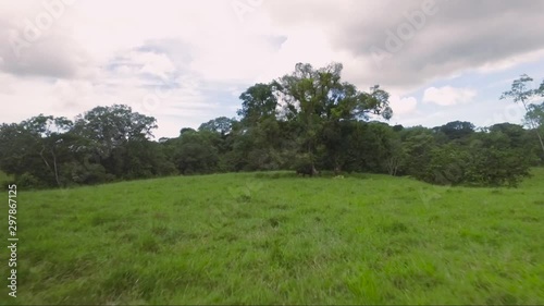 Costa Rican Rocky road with large old trees, lots of green, and a beautiful valley leading to the base of the San Isidro mountains in Costa Rica.  Located in Costa Rica pueblo called naranjito. photo