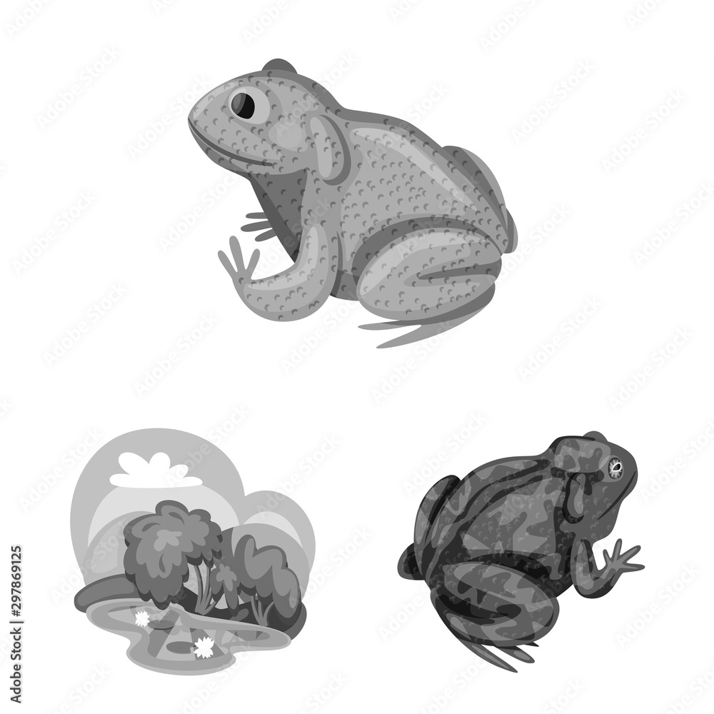 Isolated object of wild and nature icon. Collection of wild and bog stock symbol for web. Isolated object of wild and nature icon. Collection of wild and bog stock symbol for web.