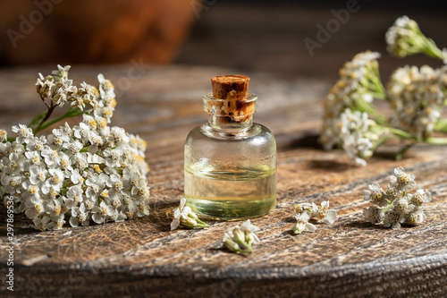 A bottle of yarrow essential oil with blooming yarrow plant