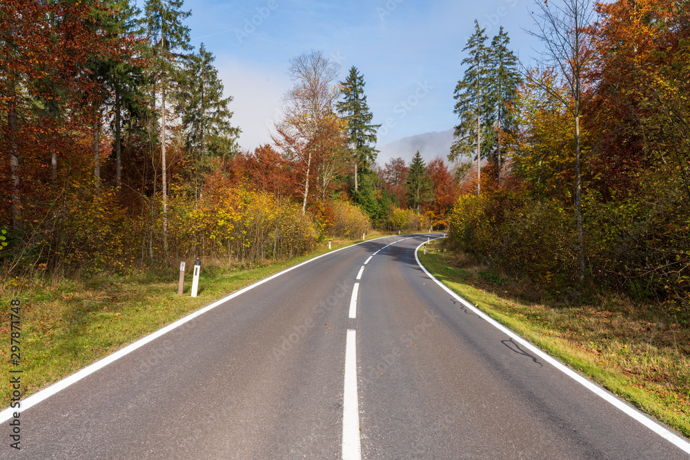 Landstraße die durch einen idylischen Wald im Herbst führt Landstraße die durch einen idylischen Wald im Herbst führt