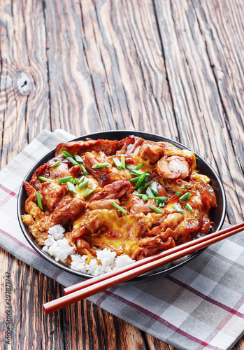 Oyakodon, Japanese Chicken and Egg Rice Bowl