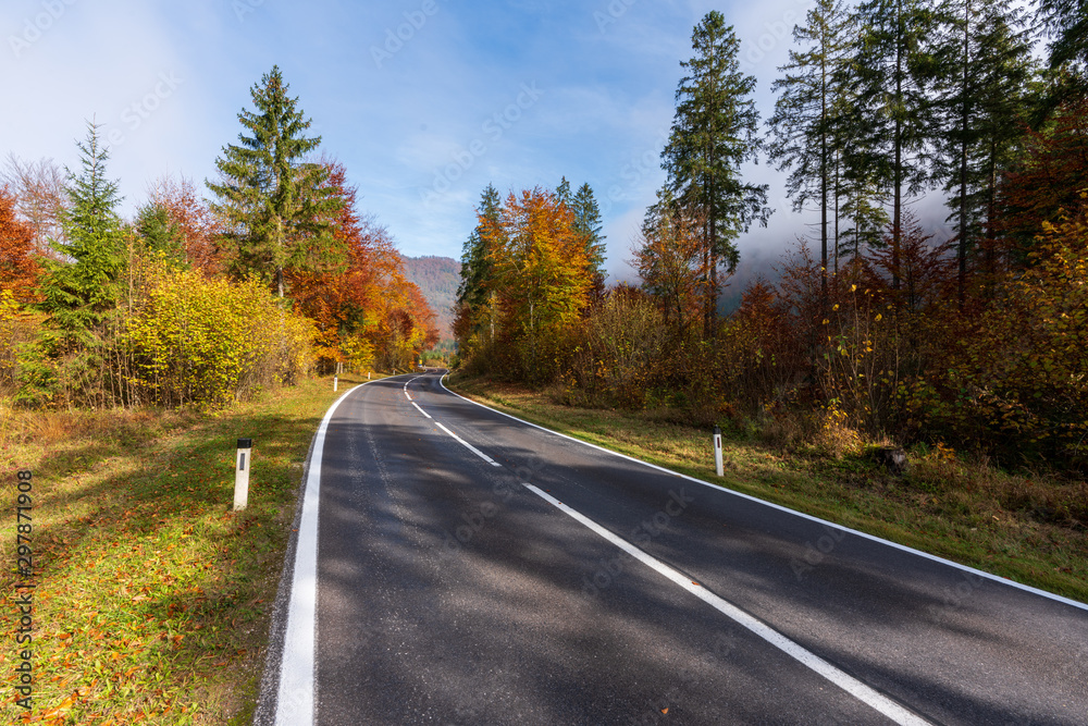 Fototapeta premium Landstraße die durch einen idylischen Wald im Herbst führt