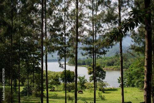 looking through the forest pine tree to see beautiful lake side view and mountain stock photo
