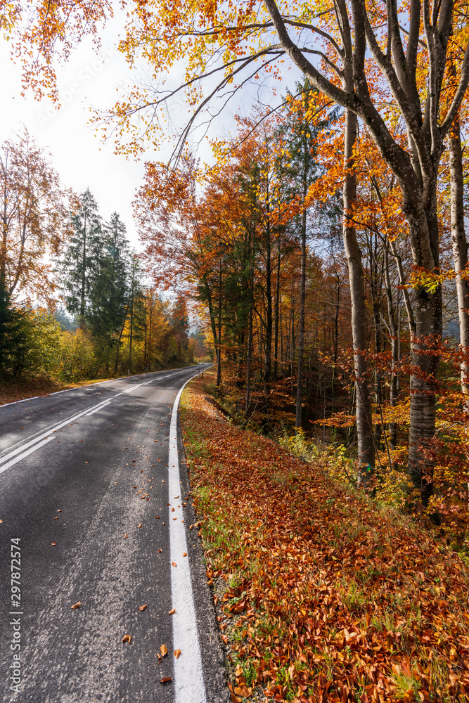 Landstraße die durch einen idylischen Wald im Herbst führt