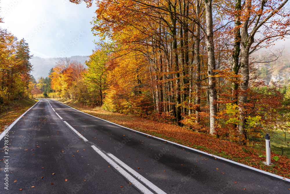 Landstraße die durch einen idylischen Wald im Herbst führt