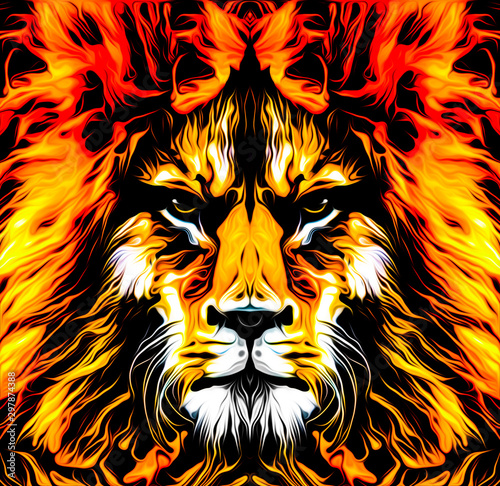 Lion head colorful illustration on white background