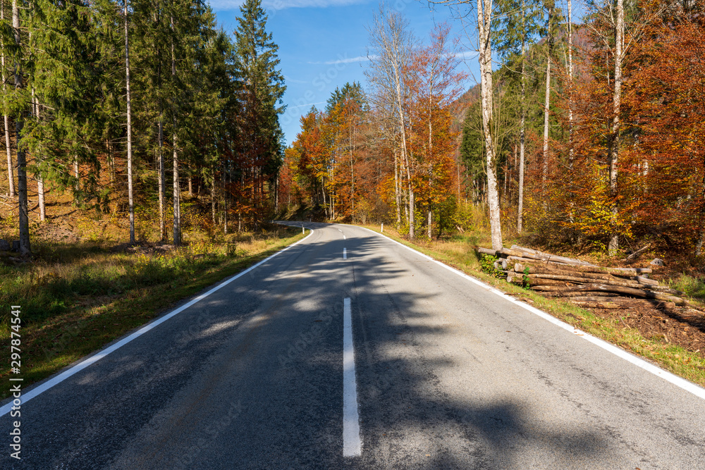 Fototapeta premium Landstraße die durch einen idylischen Wald im Herbst führt