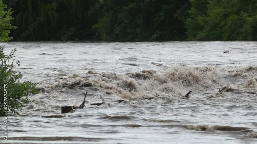 Slow motion of brown strong river traveling trush and vegetation because of the flood. Background of Woods. Mina clavero, corodoba, argentina Slow motion of brown strong river traveling trush and vegetation because of the flood. Background of Woods. Mina clavero, corodoba, argentina