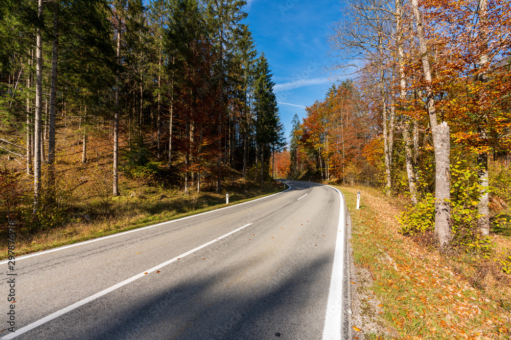 Fototapeta premium Landstraße die durch einen idylischen Wald im Herbst führt